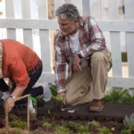 Fall gardening tips for seniors