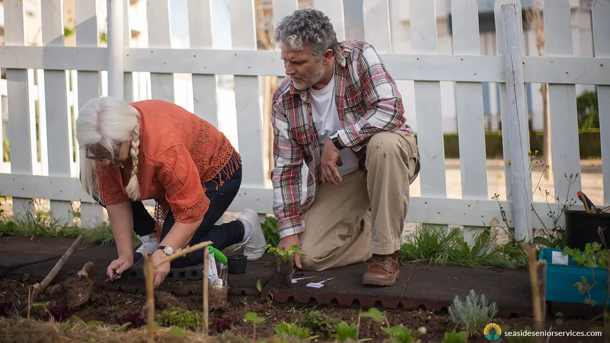 Fall gardening tips for seniors